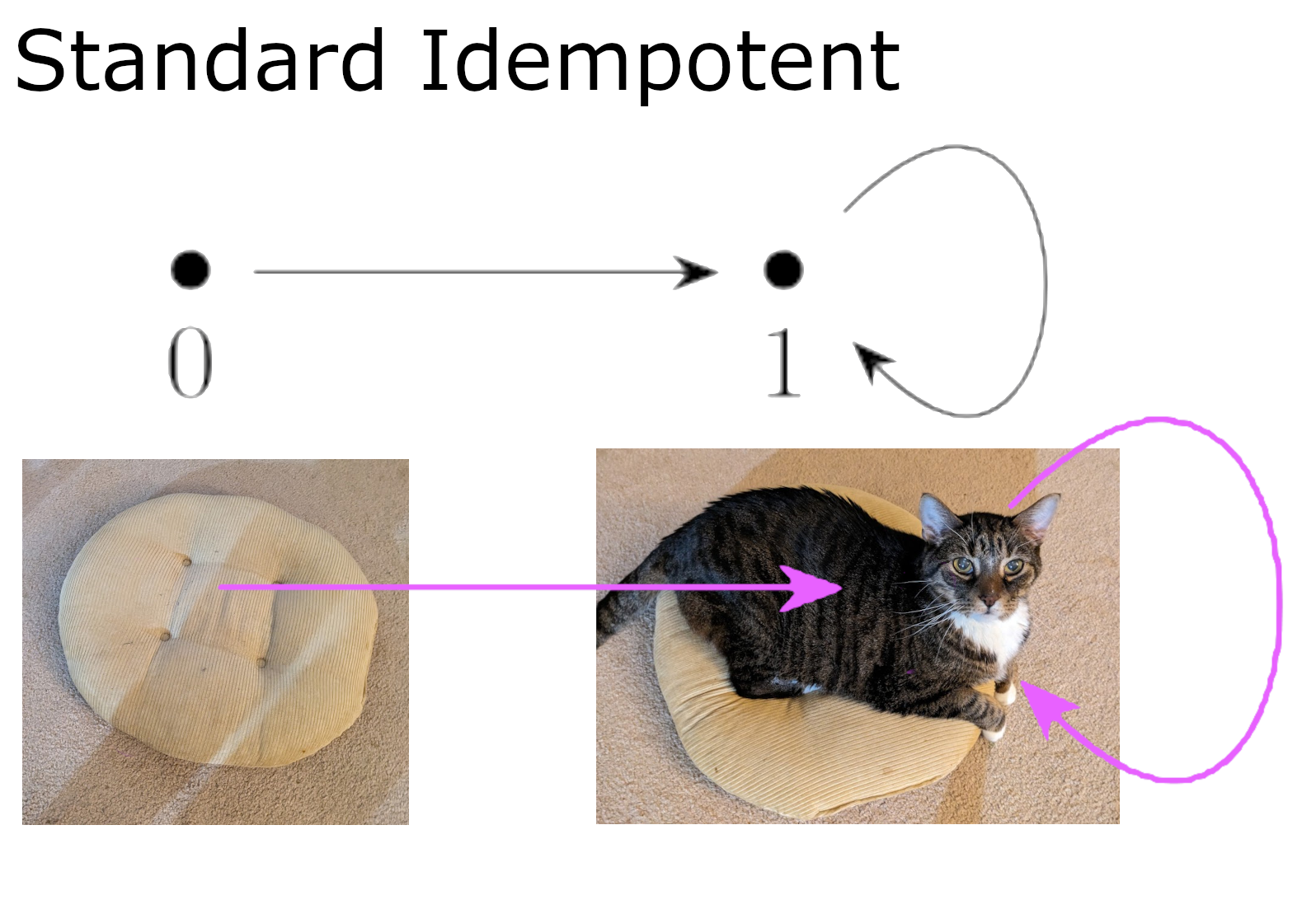 A demonstration of parallels between the "standard idempotent" illustrated by photos of a cushion with and without a cat.